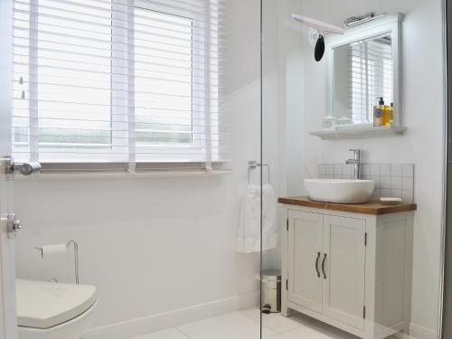 a bathroom with a sink and a toilet and a window at Seascape in Aberystwyth