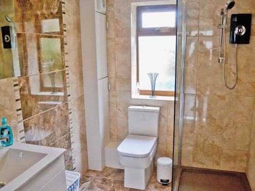 a bathroom with a shower and a toilet and a sink at Dove Cottage in Ampney Crucis