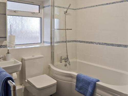 een badkamer met een toilet, een bad en een wastafel bij Bwthyn Pereos in Llanrhwydrys