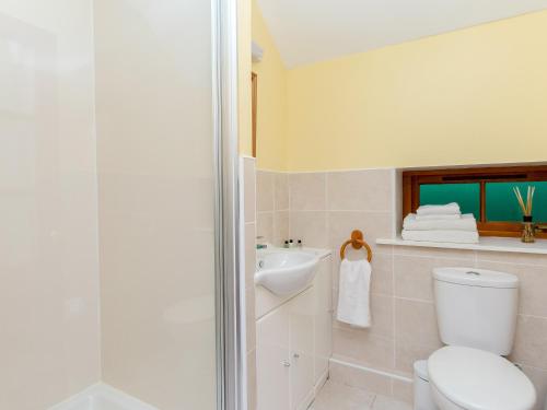 a bathroom with a toilet and a sink at Bonnies Bothy in Port of Menteith