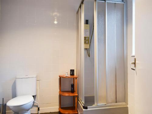 a bathroom with a toilet and a shower at Kannier Cottage in Saint Monance