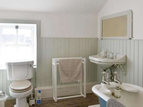 ein Bad mit einem WC und einem Waschbecken in der Unterkunft Burnfoot Of Cluden in Holywood