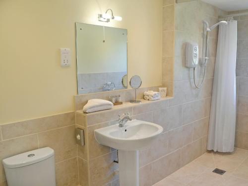 een badkamer met een wastafel, een toilet en een spiegel bij Acorn Cottage - Ukc1812 in South Perrott