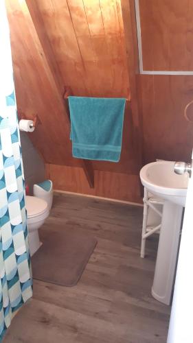 a bathroom with a toilet and a sink at Cabañas Linda Vista in Cucao
