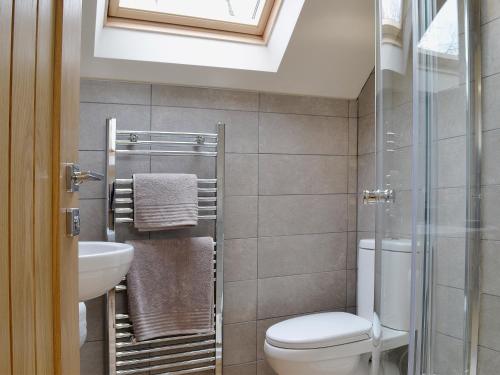 a bathroom with a toilet and a sink at Magpies Rest in Horrabridge