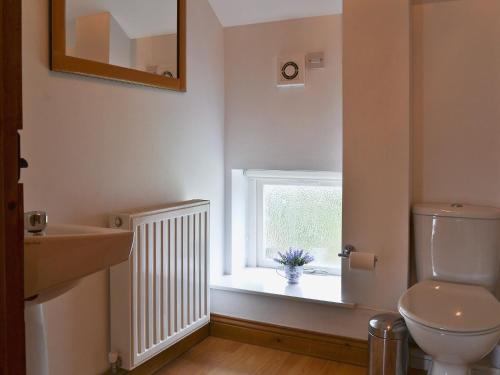 a bathroom with a toilet and a window at Fawnlea Cottage in Staindrop
