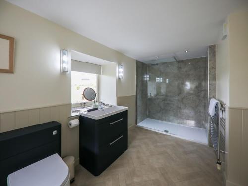 a bathroom with a shower and a sink and a toilet at The Wheelhouse in Kirk Yetholm