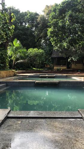 SATORI WELLNESS CENTRE – Photos 3
