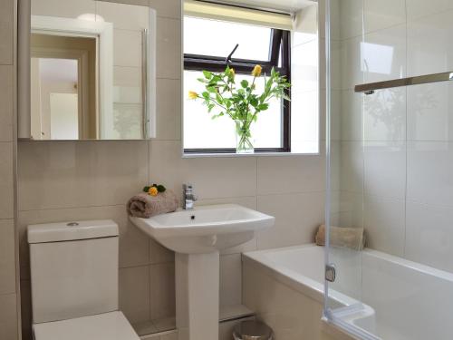 baño con lavabo y aseo y ventana en Hoppers Cottage en Ticehurst