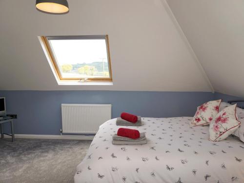 Un dormitorio con una cama con almohadas rojas y una ventana en The Cob Barn - Ukc1852 en Shaldon