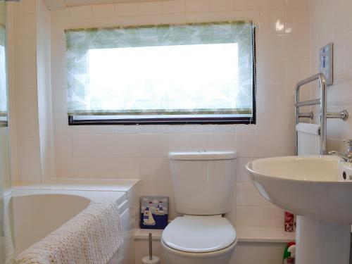 a bathroom with a toilet and a sink and a window at The Coach House in Drybrook
