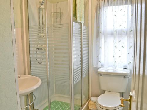 a bathroom with a toilet and a shower and a sink at Catbank in Bridekirk