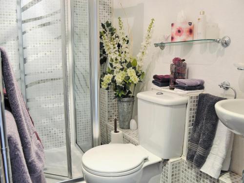 a bathroom with a toilet and a shower at Chywood Barn in Carleen