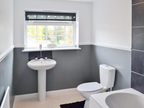 a bathroom with a sink and a toilet and a window at Banovallum Cottage in Horncastle