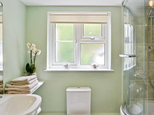 a bathroom with a toilet and a sink and a window at Thornhill in Whitchurch