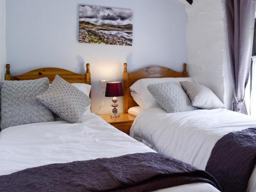 two beds sitting next to each other in a bedroom at Bron Elan in Dolwyddelan