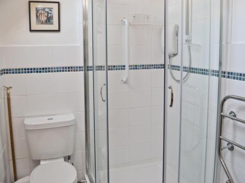 a bathroom with a shower and a toilet at Sweet Briar Cottage in Holford
