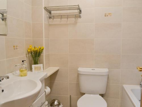 ein Badezimmer mit einem weißen WC und einem Waschbecken in der Unterkunft Fell View in Kentmere