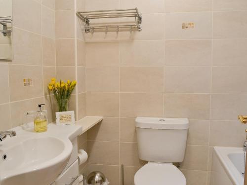 a bathroom with a white toilet and a sink at Fell View in Kentmere