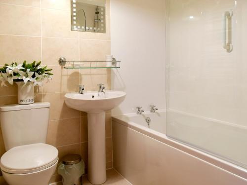 La salle de bains est pourvue de toilettes, d'un lavabo et d'une douche. dans l'établissement Harriets Hideaway, à Braithwaite