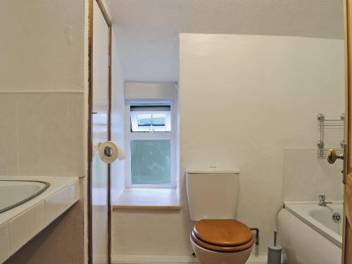a bathroom with a toilet and a sink and a tub at Yr Hen Sgubor in Pentre-briwnant