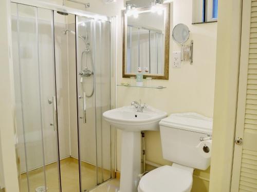 La salle de bains est pourvue de toilettes, d'une douche et d'un lavabo. dans l'établissement The Coach House - Hw7782, à Llanarmon Dyffryn-Ceiriog