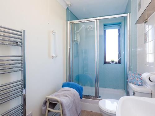 a bathroom with a shower and a toilet at Seagulls in Blakeney