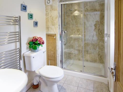 a bathroom with a toilet and a shower at Deuglawdd Cottage - Hw7788 in Aberdaron