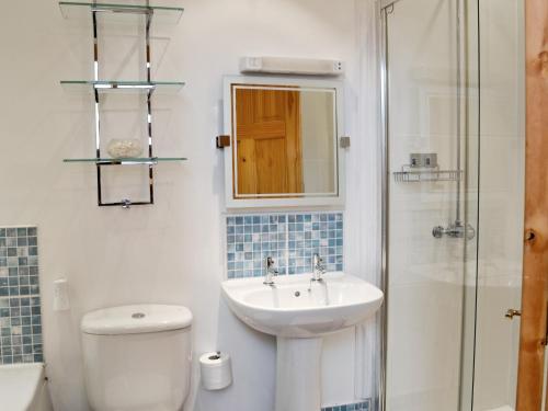 クーム・マーティンにあるSilver Cottageのバスルーム(洗面台、トイレ、シャワー付)