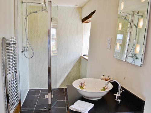 a bathroom with a sink and a shower at Tre Fardre in Kinmel