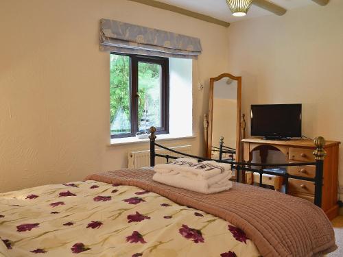 1 dormitorio con 1 cama, TV y ventana en Oak Cottage en Woolfardisworthy