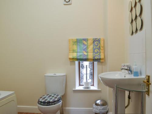 a bathroom with a toilet and a sink and a window at Brampton Hill Farm Cottage in Madley