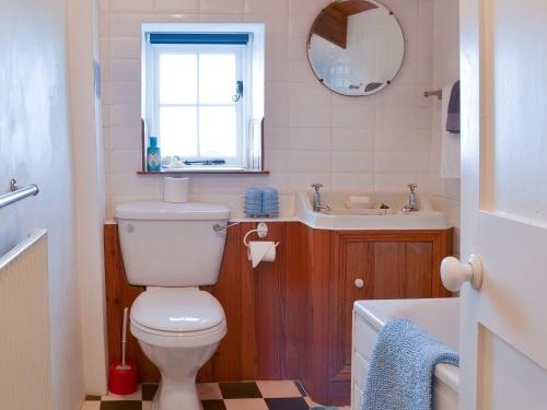 a bathroom with a toilet and a sink and a mirror at Downhouse Cottage in Delabole