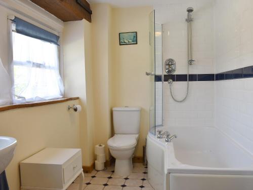 a bathroom with a toilet and a shower and a sink at Mill Pond Cottage in Bere Regis