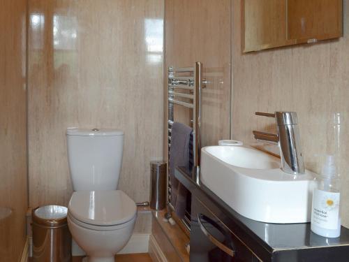 a bathroom with a white toilet and a sink at The Old Stables in Standon