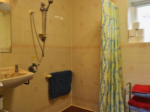 a bathroom with a shower and a sink at Wrens Nest in Llanfair Caereinion