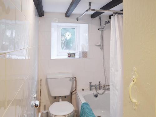 a bathroom with a toilet and a tub and a window at Dyserth in Clynnog-fawr