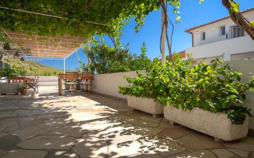 a patio with some plants and a building at Pansion Marjan in Zavala