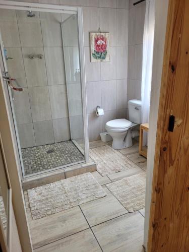 a bathroom with a shower and a toilet at De Heide Guesthouse in Bothaville