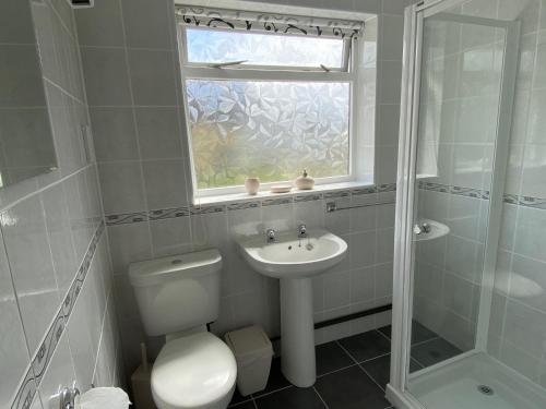 a bathroom with a toilet and a sink and a window at Heligan - B6522 in Saint Cleer