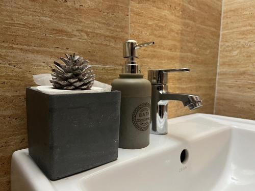 a bathroom sink with a soap dispenser and a pineapple on it at Villa Vista With Swimming Pool in Lucknow