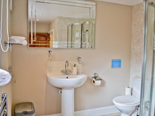 W łazience znajduje się umywalka, toaleta i lustro. w obiekcie Barn Terrace - 28972 w mieście Selstead