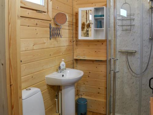 a bathroom with a sink and a toilet and a shower at Birdsong Cabin in Breakish