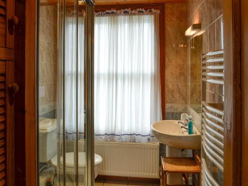 a bathroom with a shower and a sink and a toilet at Ty Nain in Tywyn