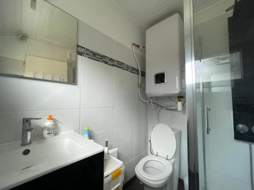 une salle de bain avec toilettes, lavabo et douche dans l'établissement Bocage 1, à Mimizan