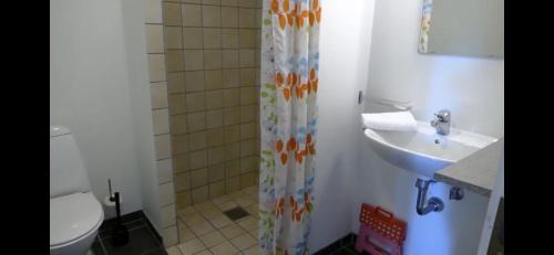 W łazience znajduje się umywalka, toaleta i prysznic. w obiekcie Bremsmaj Farm Holiday w mieście Kværs