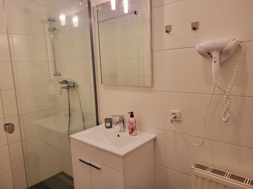 y baño con lavabo y ducha con espejo. en Apartment Schweglerstrasse - near Stadthalle en Viena