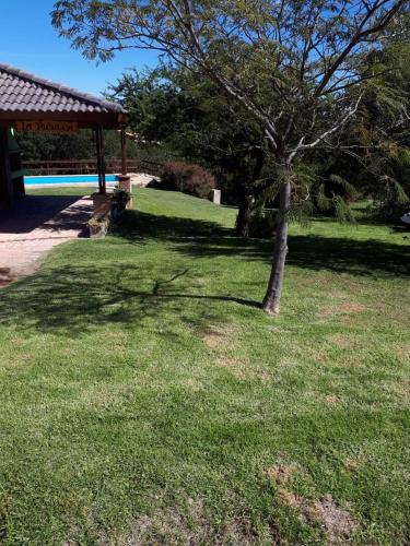 a tree in the grass next to a pool at Aldea de Montaña ,La Pichuca in Carpintería