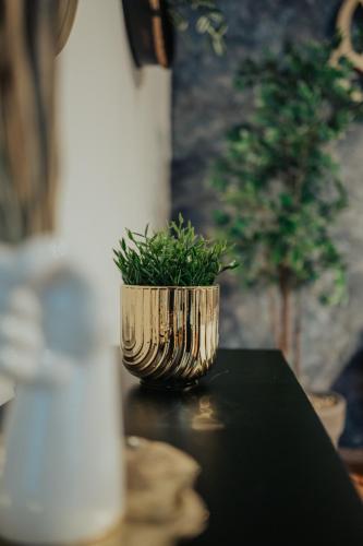 a gold planter with a plant on a table at Apartmány J&J in Šumperk