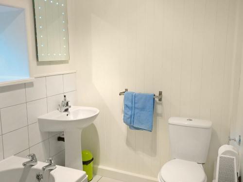 a bathroom with a white toilet and a sink at Town End Barn in Warslow